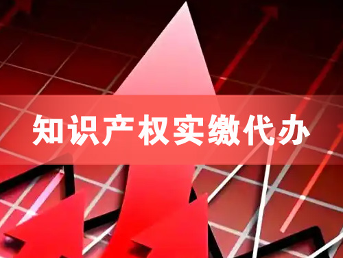 新泰知识产权实缴资本代办
